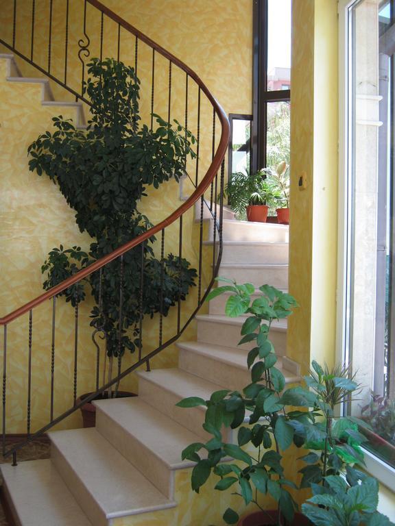 קיטן Hotel Continental מראה חיצוני תמונה